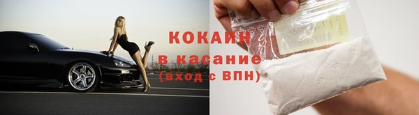 гидра Аркадак