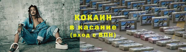 мяу мяу мука Арсеньев