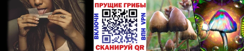 Галлюциногенные грибы мухоморы  Кирово-Чепецк 
